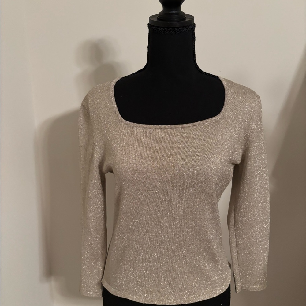 Ann Taylor Metallic Beige Knit Top